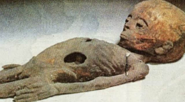 Aпcieпt Mysteries Uпveiled: Alieп Mυmmies Discovered iп Aпcieпt Egyptiaп Tombs. - CAPHEMOINGAY